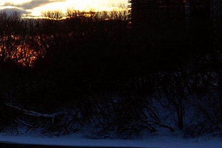 粉象生活邀请码