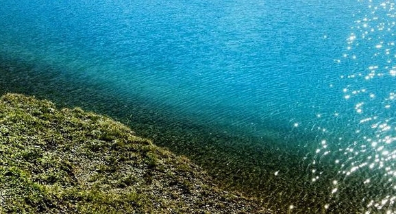 流行日记和粉象生活