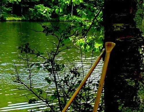 粉象生活app怎么购物