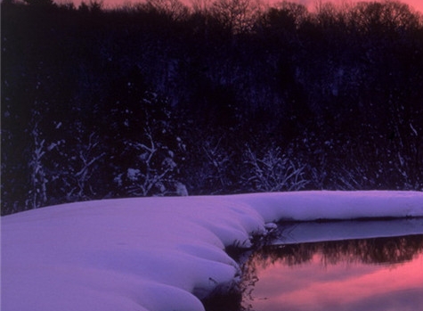 粉象生活乱发货不换货