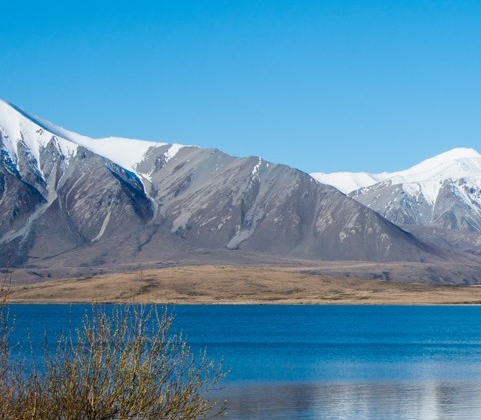 粉象生活邀请码填谁的,谁就可以赚钱吗