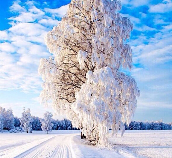 粉象生活如何取消推广订单