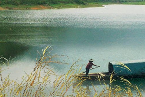 粉象生活怎么设置自动扣费