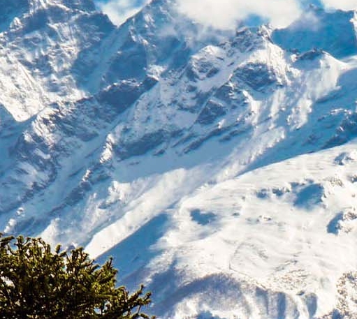 粉象生活邀请码