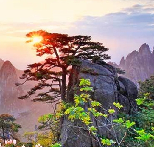 粉象生活客服电话