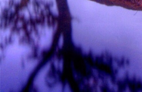 粉象生活等级和佣金