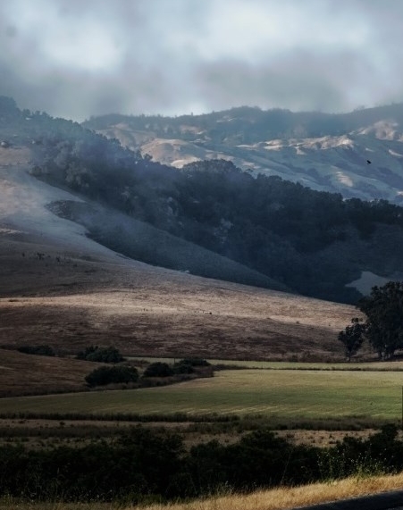 粉象生活注销后多久才能注册