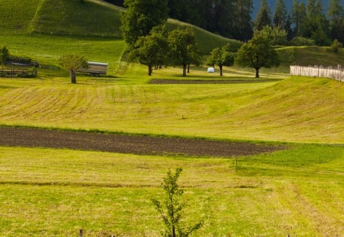 粉象生活昵称怎么修改