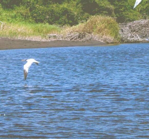 粉象生活升级会员后真的能赚钱吗