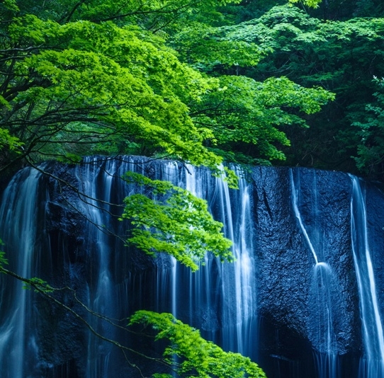 南通粉象生活图片粉象生活