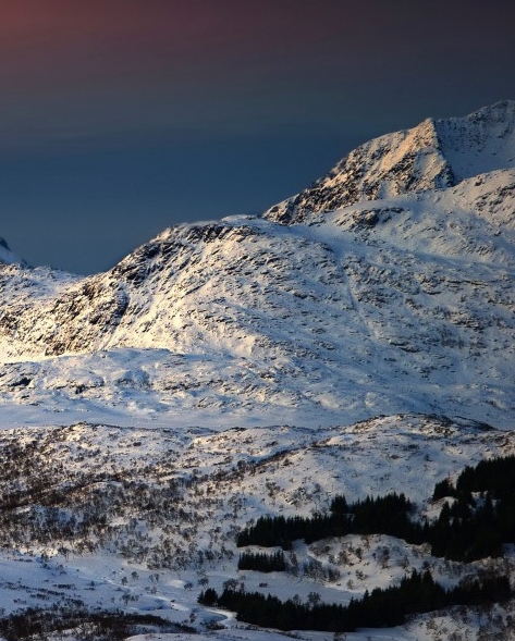 粉象生活下载app