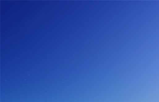 粉象生活必须要买会员吗