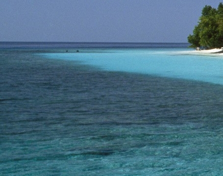 粉象生活如何退出