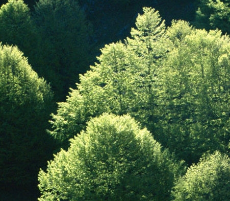 粉象生活电话多少