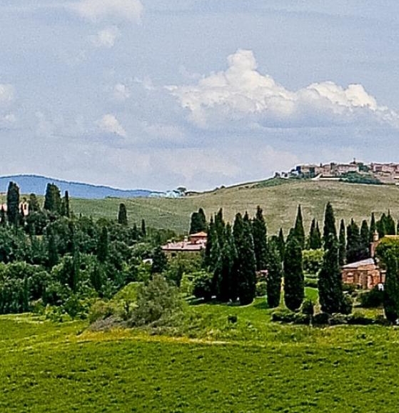 粉象生活手机分享