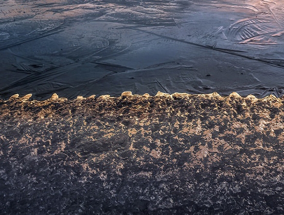 粉象生活下载app