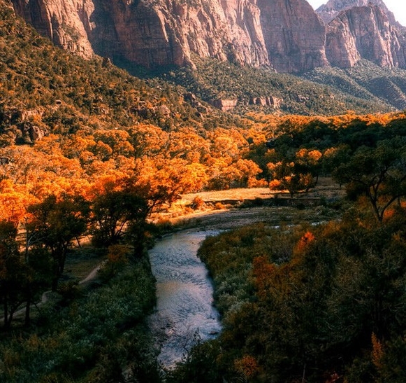 粉象生活的背景