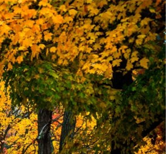 粉象是什么平台