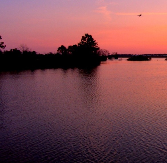 粉象生活可以赚钱吗