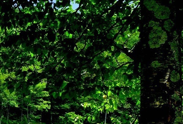 粉象生活怎么优惠