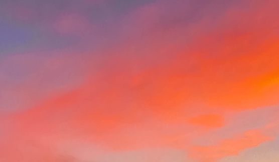 粉象生活邀请码