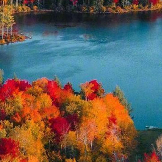 双全俏生活真实身份