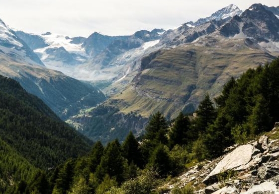 粉象生活折扣券
