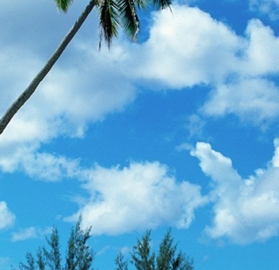 粉象生活邀请码