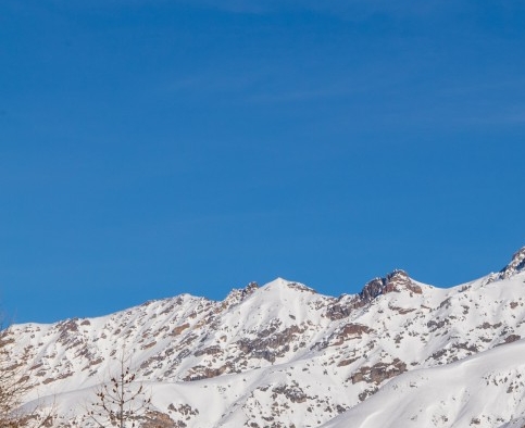粉象砍价和拼多多砍价对比