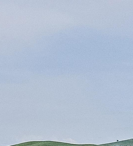 安徽口碑粉象生活推广