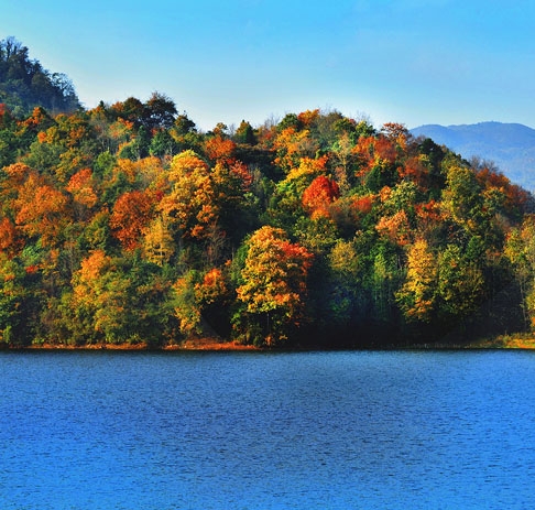 粉象生活商学院邀请码
