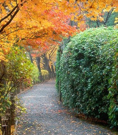 粉象生活可以发布任务吗