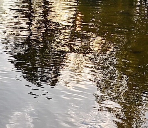 粉象生活购买流程