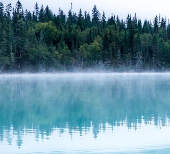 广东口碑粉象生活软件