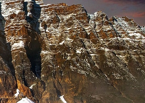 粉象生活怎样自己注册