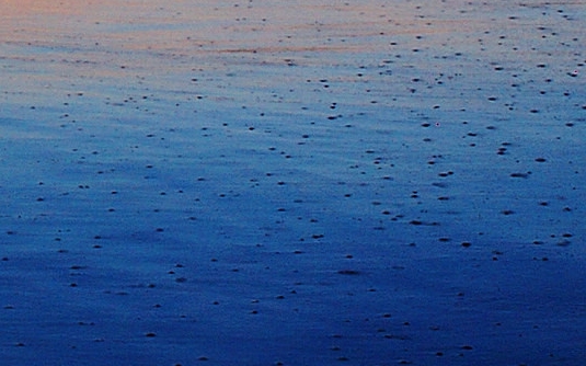 生活中执着创造奇迹的例子