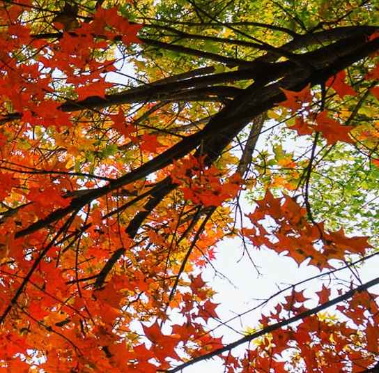 生活加油的图片鼓励