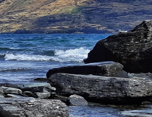 粉象生活什么时候开始推广