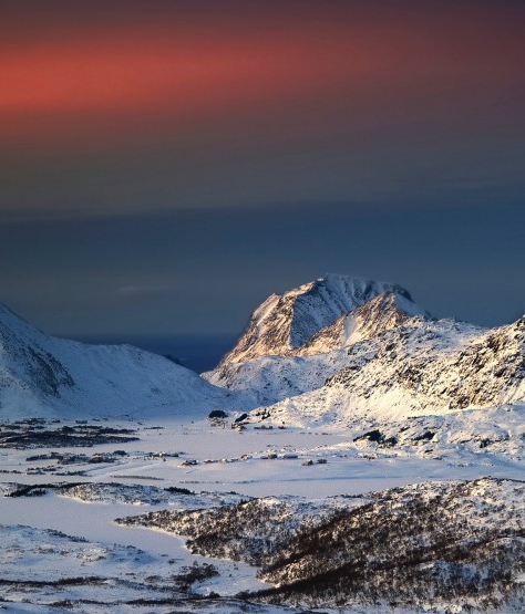 粉象生活是干嘛的