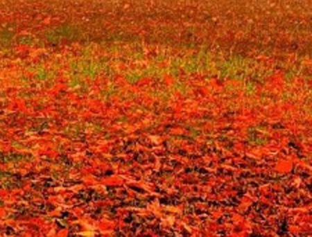 粉象生活人脉哪里找