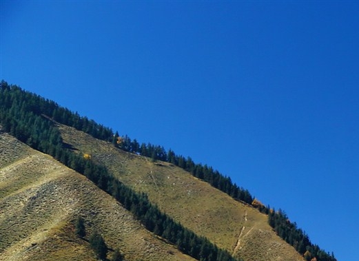 粉象生活能赚到钱吗