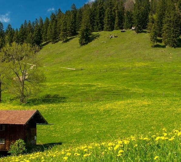 类似粉象生活的平台