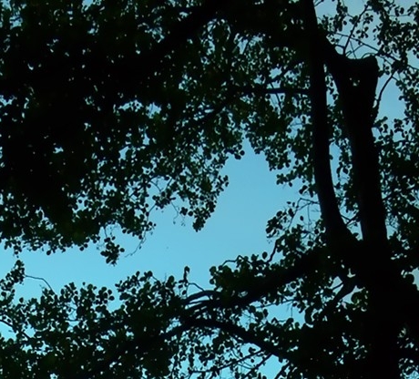 粉象生活app是干嘛的