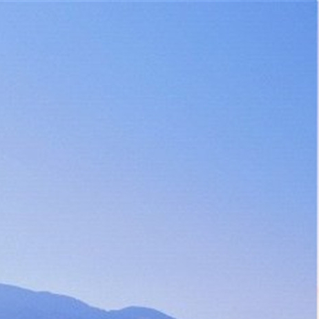 粉象生活和花生哪个好