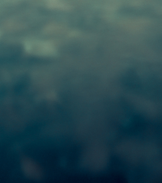 粉象生活模式合法吗