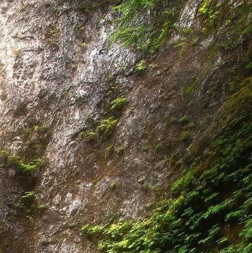 粉象生活加盟哪个品牌好