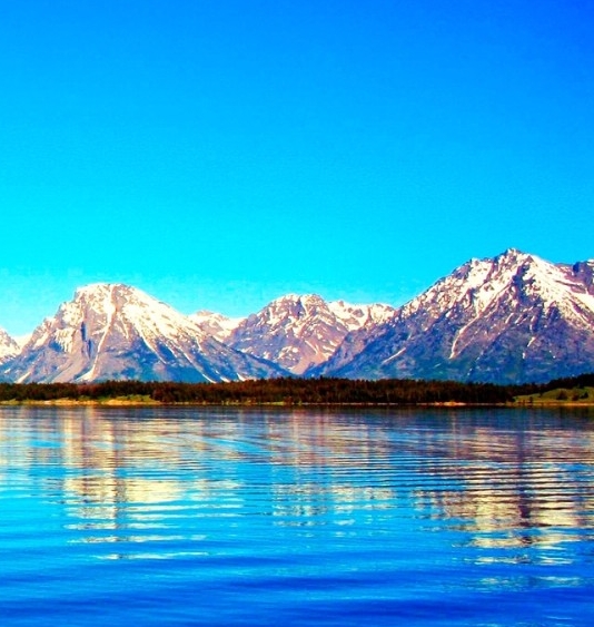 保定粉象生活推广