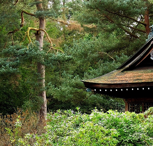 粉象生活未结算收益怎么提现