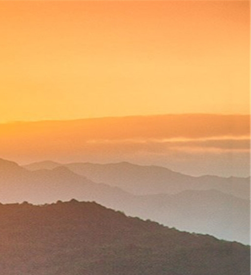 粉象生活上的产品是真的吗