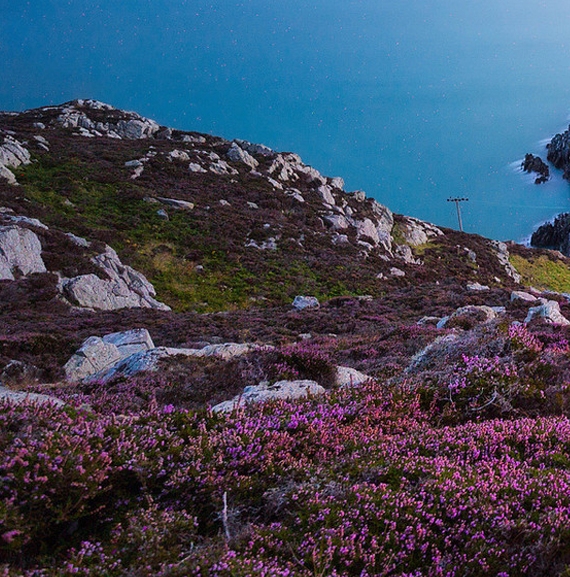 粉象生活佣金利润表